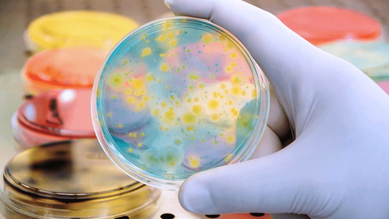 生物医药外包项目管理办法审计要点解析