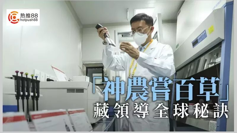 离心管批发，如何选择合适的供应商？**