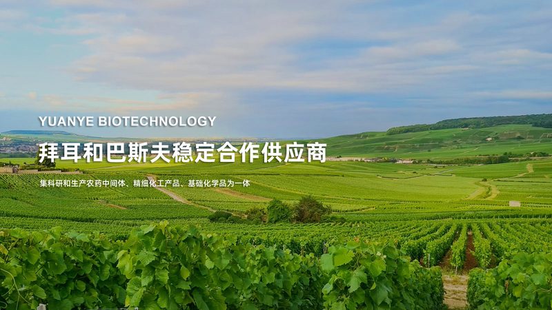生物医药外包工艺流程设计：关键步骤与注意事项**