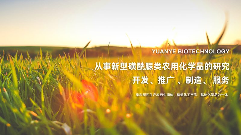 CRo实施流程五步法：揭秘生物制药研发的标准化路径
