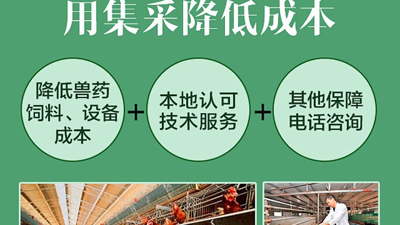 饲料级酶制剂：如何选择性价比高的产品**
