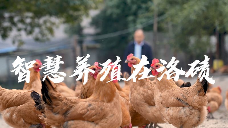 癌症基因检测准确率对比：揭秘精准医疗的"金标准