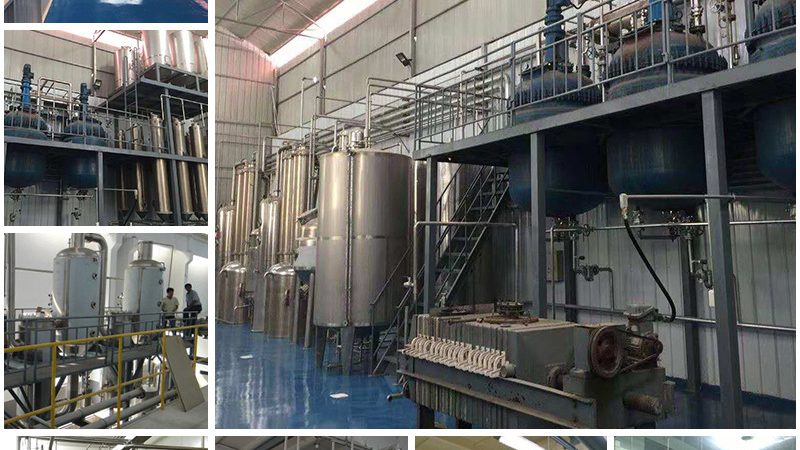 细胞工厂层数与培养面积：揭秘影响生物制药效率的关键因素