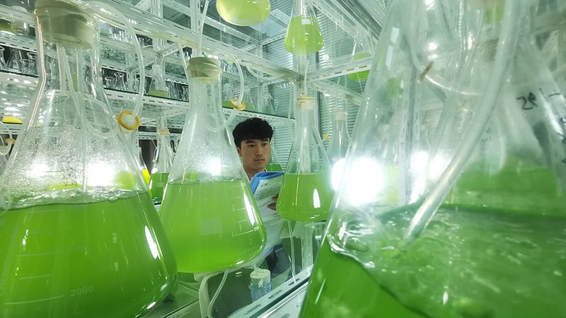 基因编辑技术：揭秘上海基因检测与基因编辑公司的核心竞争力**